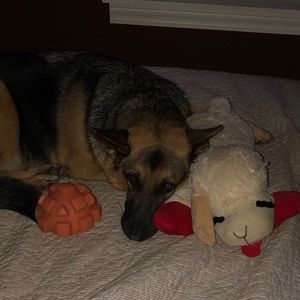 Meet your Posher, Lisa